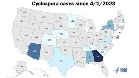 Marler Clark offers Cyclospora primer amid ongoing outbreak ...