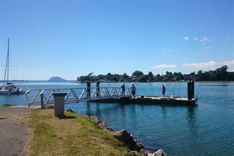 Fishing Spots In Tauranga Harbour - Unique Fish Photo