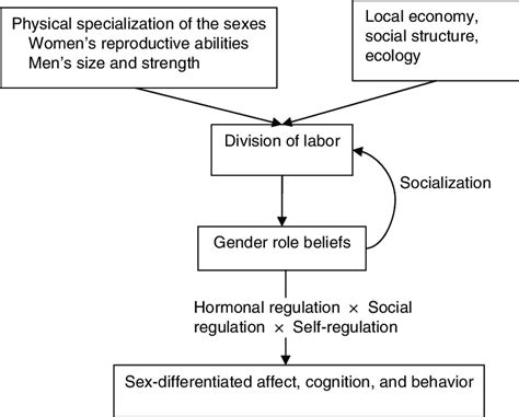 1 Gender Roles Guide Sex Differences And Similarities Through Biosocial Download Scientific