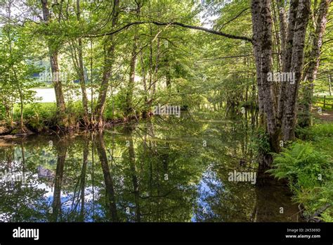 France Cantal Vic Sur Cere Thiezac Pas De Cere Site Cere Gorges