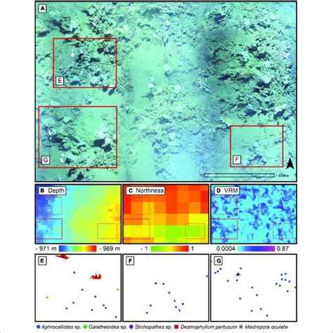 Close Up Of The Photomosaic At Site B Environmental Drivers Derived