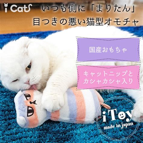 【楽天市場】【 猫 おもちゃ 】icat Itoy ケリケリ まりたん キャットニップとカシャカシャ入り アイキャット【 国産 布製 安全