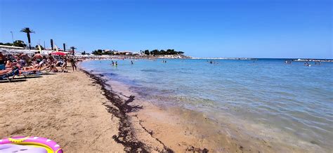 Trani La Spiaggia Di Colonna Invasa Da Materiale Bruciato Volontari