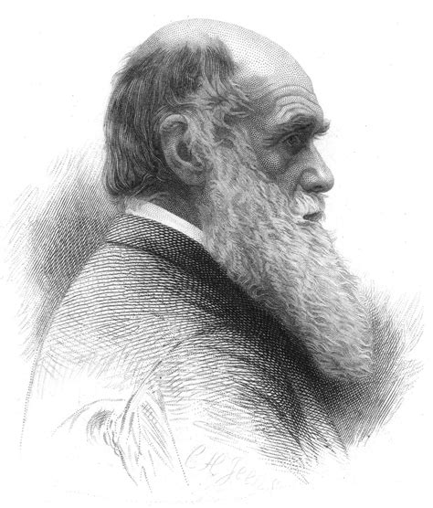 Evolution - Speciation, Genetics, Differentiation | Britannica