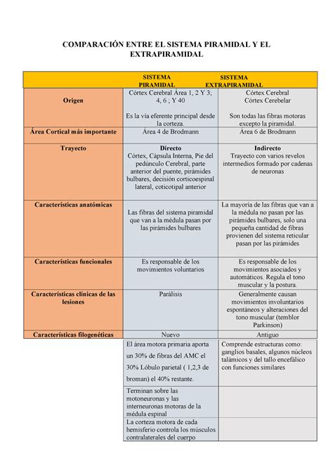 Comparaci N Entre El Sistema Piramidal Y El Extrapiramidal