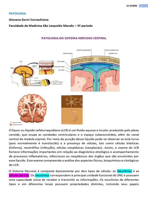 Algumas Patologias Podem Acometer O Sistema Nervoso Central - Patologia do Sistema Nervoso Central | PDF | Líquido cefalorraquidiano ...