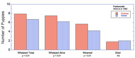 Inbreeding Effects - The Institute of Canine Biology