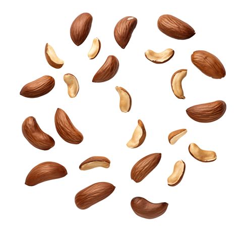 Falling Brazil nuts with Transparent Background 47706225 PNG