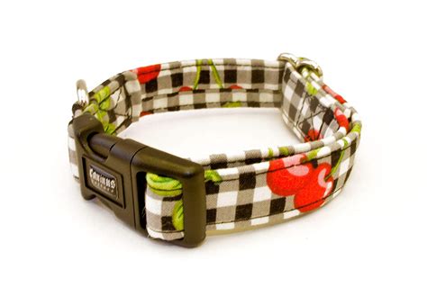 Dog Collars — Homeskooling 4 Dogs