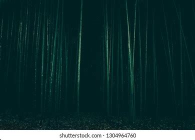 Dark Scary Forest Stock Photo 1304964760 | Shutterstock