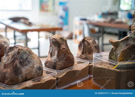 Dinosaur Bones Near Me: Unearthing the Best Fossil Exhibits - Hunter Games Magazine