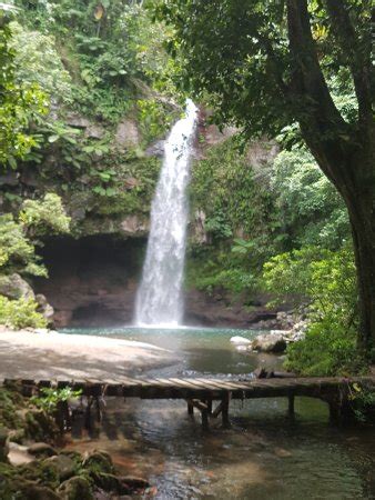 Tavoro Waterfalls (Taveuni Island) - All You Need to Know Before You Go - UPDATED 2018 (Taveuni ...