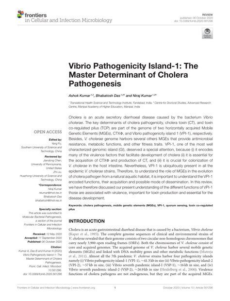 Pdf Vibrio Pathogenicity Island 1 The Master Determinant Of Cholera Pathogenesis