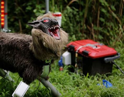 Super Monster Wolf Robot Keeps Animals Away Robotic Gizmos