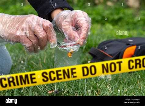 Police Detective Collecting Evidence At Crime Scene Stock Photo Alamy