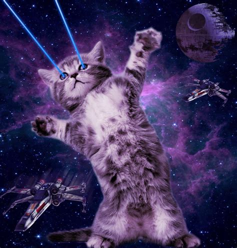 Space Laser Cat Wallpaper