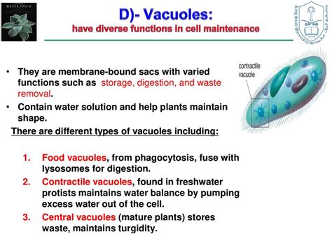 General Animal Biology Ppt Download