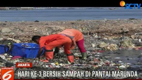 Petugas Terus Bersihkan Sampah Dari Bibir Pantai Marunda News