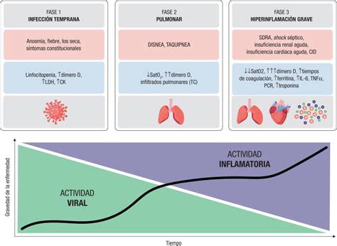 Fisiopatolog A De La Enfermedad Cardiovascular En Pacientes Con Covid