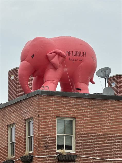 Fells Point Baltimore Delirium Tremens Elephant Of Roo Flickr