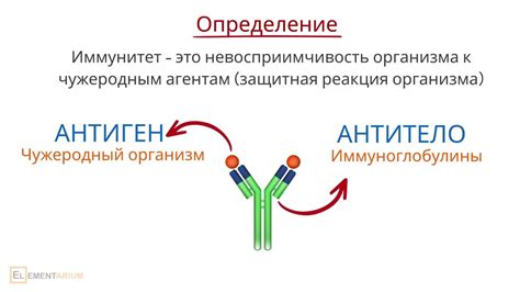 Виды иммунитета: активный, пассивный, естественный и искусственный