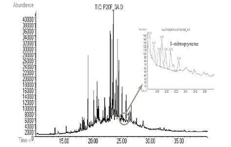 Gc Ms Chromatogram Of Mononitro Pahs Fraction From Airborne Sample Download Scientific Diagram