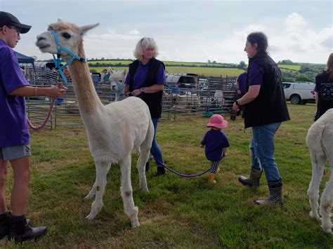 Cynwyl Elfed Agricultural Show 4 John Ellis Flickr