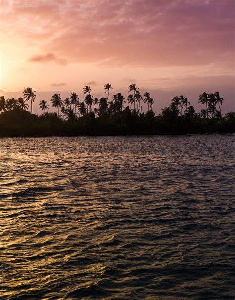 A Sunset Over A Tropical Palm Tree Island In The Ocean By Stocksy