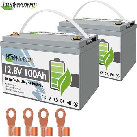 2pack 12v 100ah Lifepo4 Battery Built In 100a Bms15000 Deep Cyclestcbworth For Rvsolarmarine