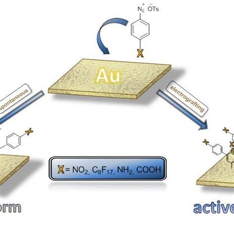 Schematic Representation Of The Proposed Covalent Modification Of Download Scientific Diagram