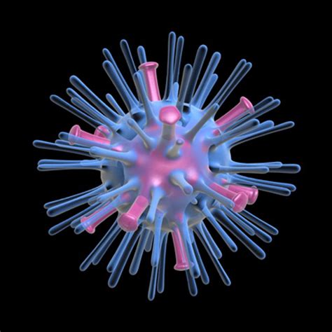 Avian Flu Virus D Model