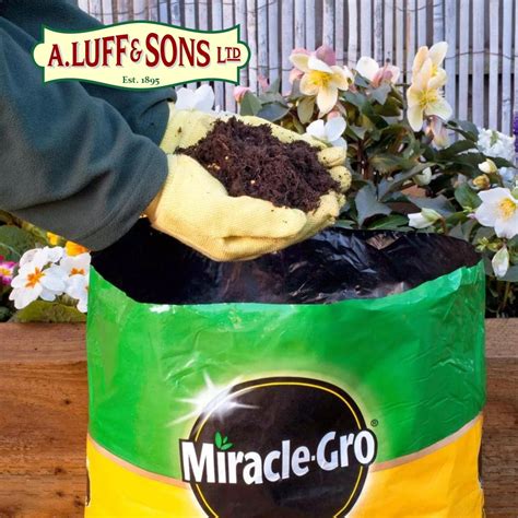 Miracle Gro® Premium All Purpose Compost Ripley Nurseries Garden