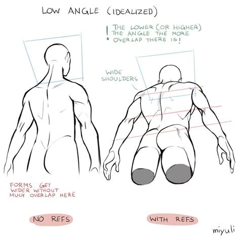 Miyuli On Twitter Anatomy Reference Drawing Reference Drawing