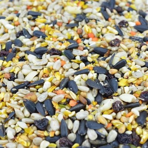 Standard Wild Bird Seed 20kg Petextra