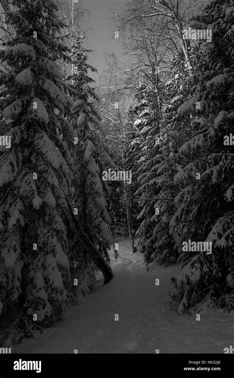 Swedish winter landscape Stock Photo - Alamy