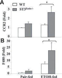 Increased expressions of monocyte and macrophage markers in ...