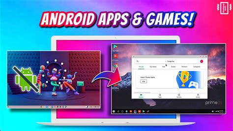 Move From Chrome Os Flex To Prime Os With Android And Google Play Store