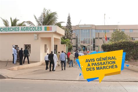 Gestion 2024 Avis Général De Passation Des Marchés De Linstitut