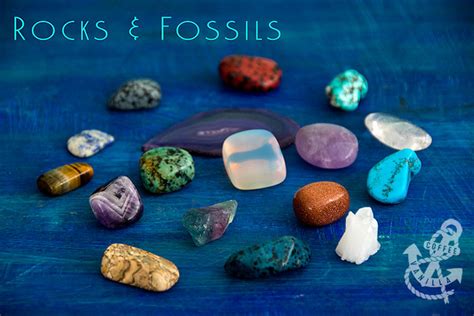 Rocks & Fossils - Gallery with Names » Coffee & Vanilla