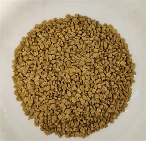 Fenugreek Seed Methi At Rs Kg Ahmedabad Id