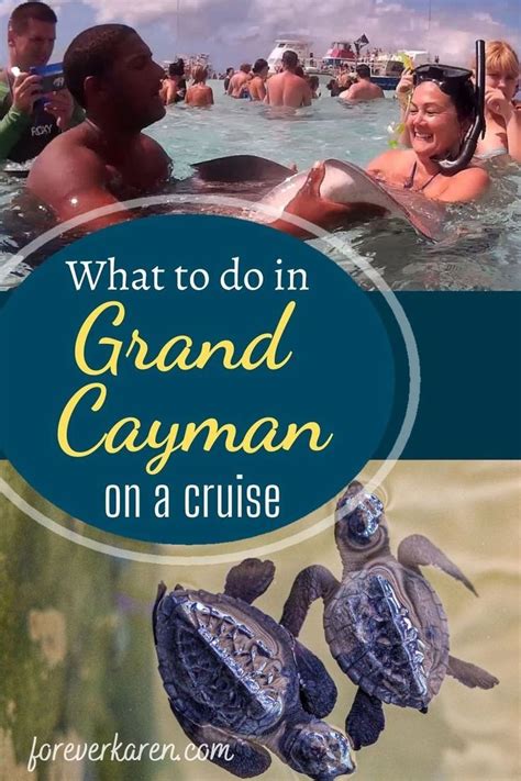 15 fantastic excursions in grand cayman on a cruise – Artofit