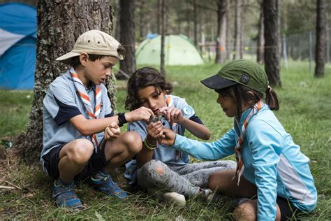 Campamentoscout · Scouts De España