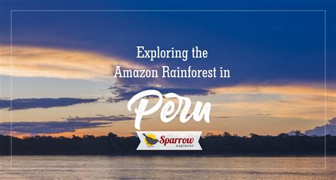 Exploring the Amazon Rainforest in Peru | Sparrow Explorer Travel