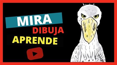 como dibujar un pájaro PICOZAPATO fácil PASO A PASO como DIBUJAR un