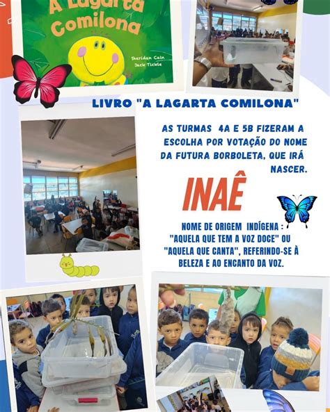 Escola Municipal Padre Marzano Matias - 7