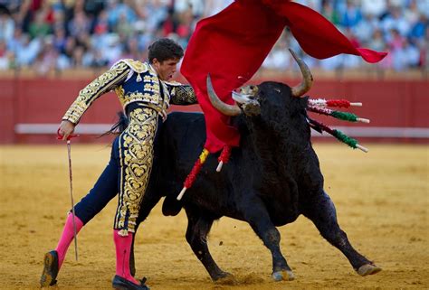 What is a bullfighting festival? Types and Recommendations – Hayzed ...