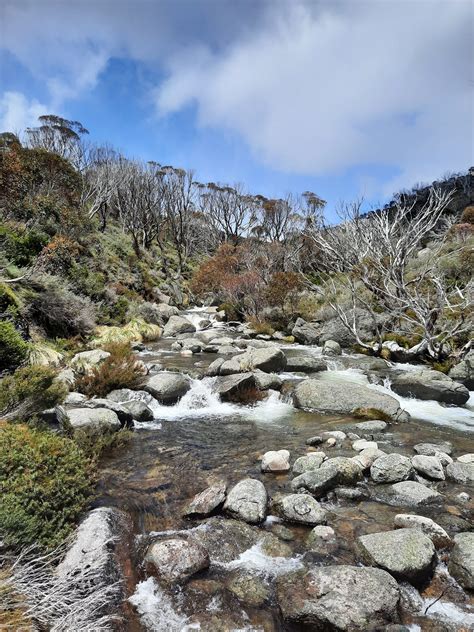 Snowy Mountains Walking Tour | 4 Day Guided Hike