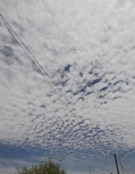 Altocumulus Stratiformis Joseph Flickr