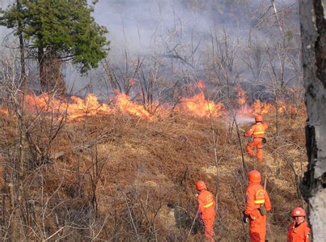 Incendi è allerta in Sardegna venerdì 24 luglio bollino arancione