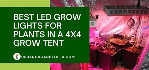 15 Easy Yet Inexpensive Diy Led Grow Light Ideas For Indoor Growing